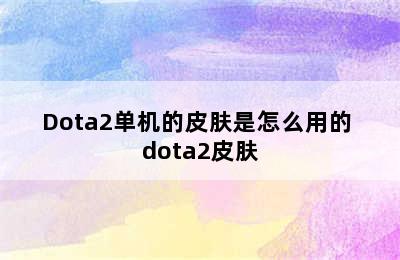 Dota2单机的皮肤是怎么用的 dota2皮肤